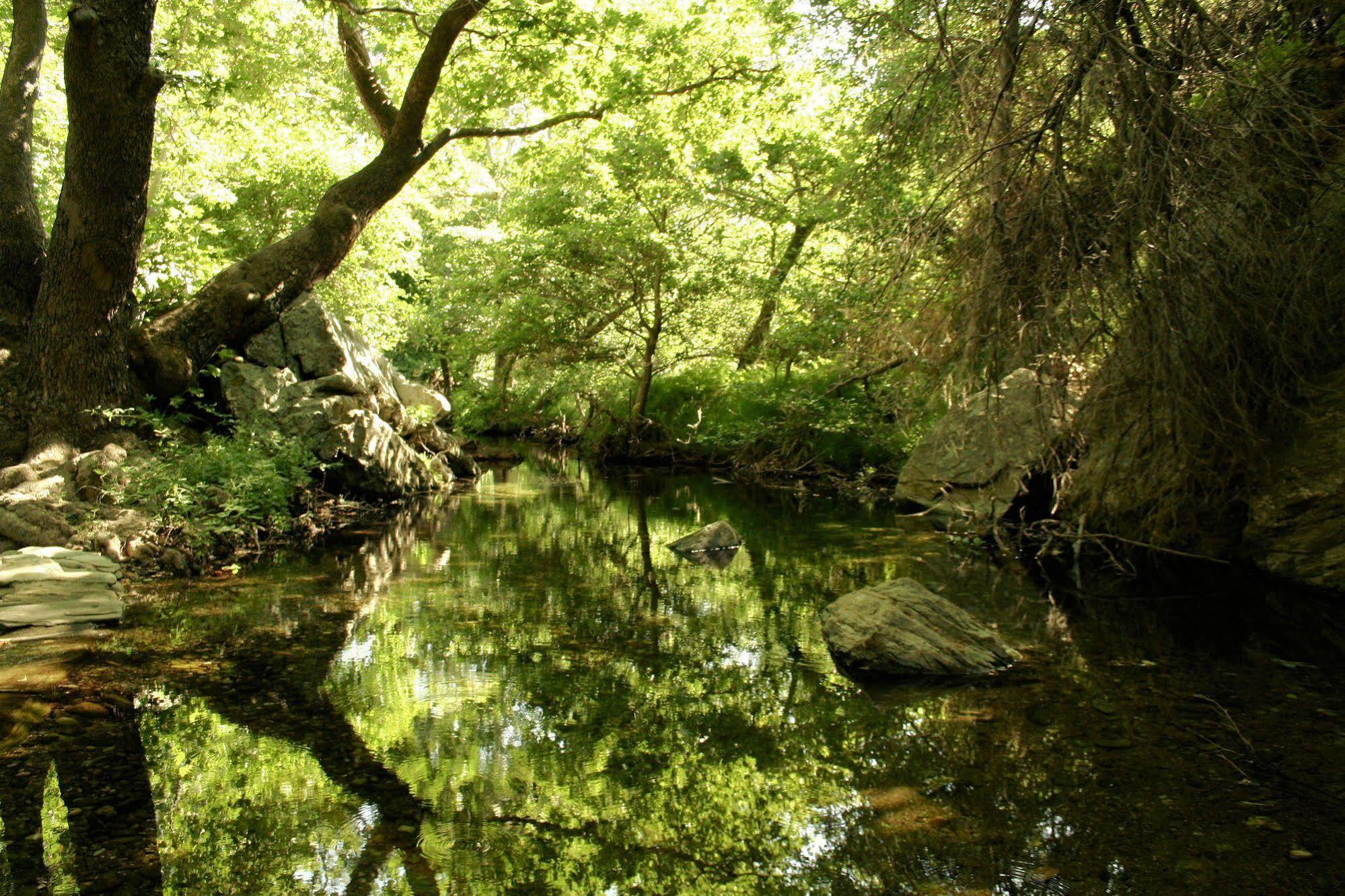 Отель Onar Andros Achla Экстерьер фото