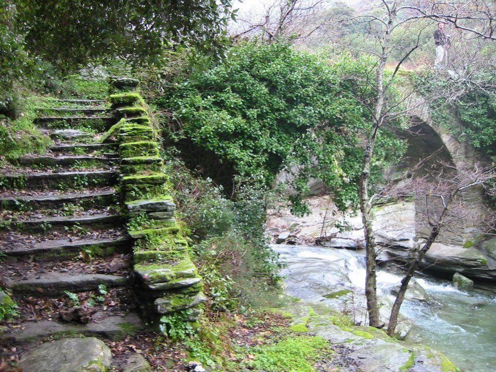 Отель Onar Andros Achla Экстерьер фото